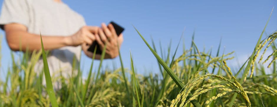 Agriculture of the New Age – Farming with Sensors