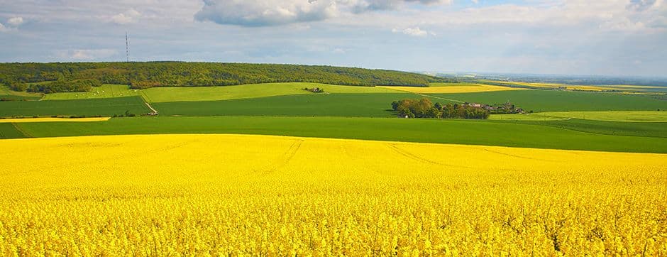All Aspects of Proper Arable Crop Harvest