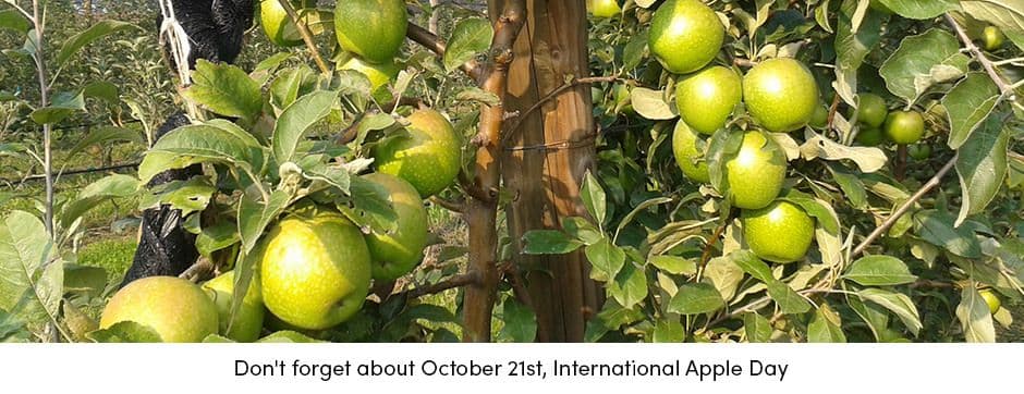 Apple Day