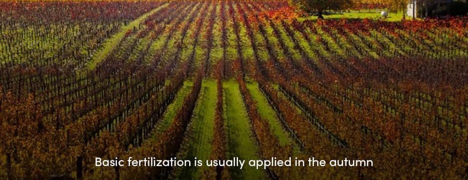 Basic Fertilization