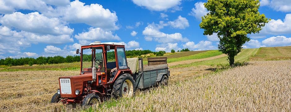 Best Farm Practices for Profitable Farming