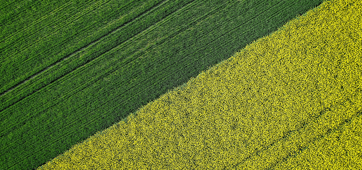 The Key to Improving Agricultural Productivity is Efficient Farm Management