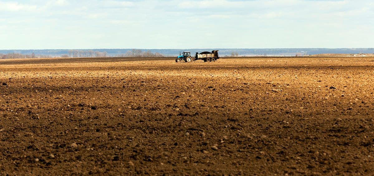The Basics of Plant Nutrient Management