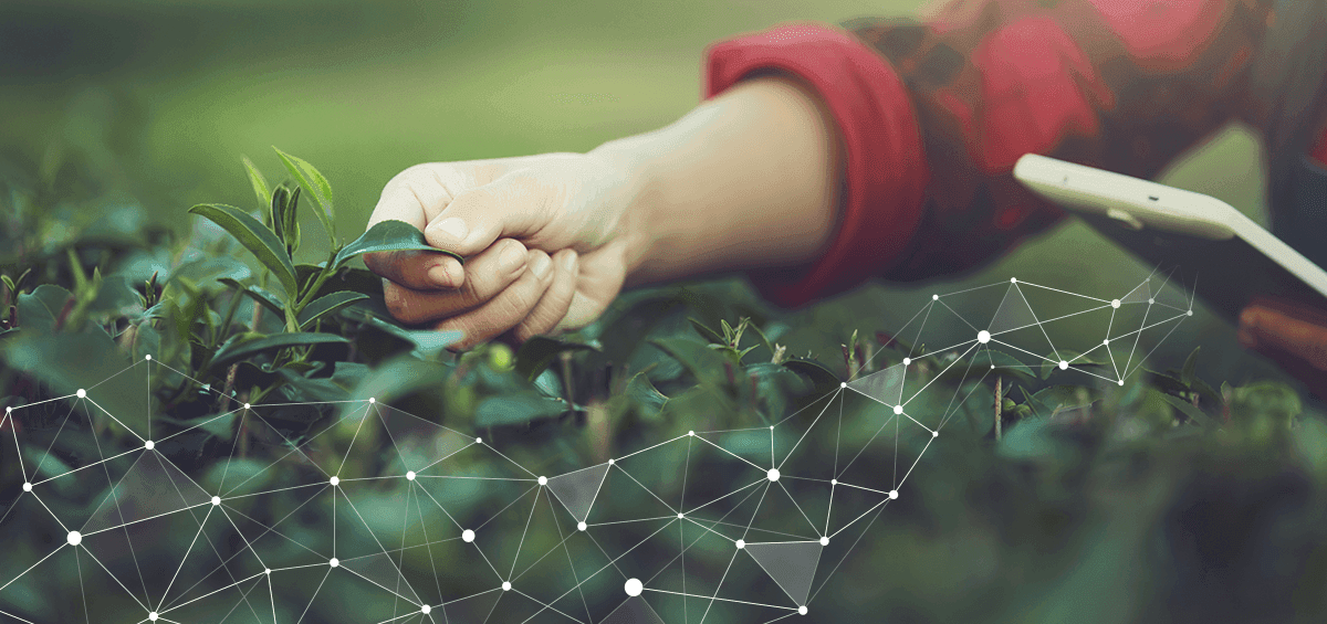 Benefits of Using Precision Farming: Producing More With Less