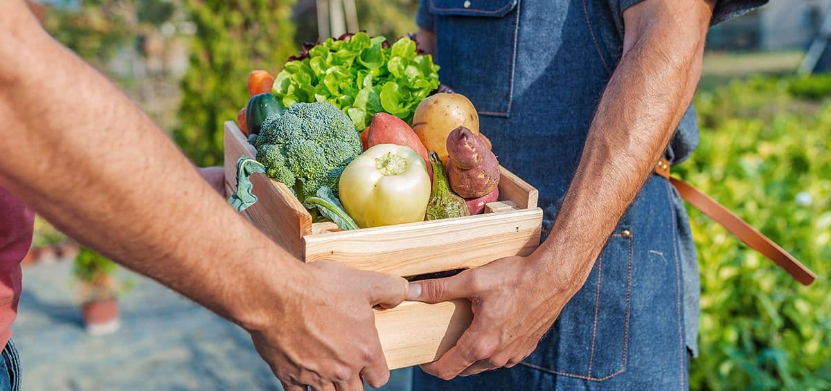 Everything a Farmer Should Know About Commodity Trading