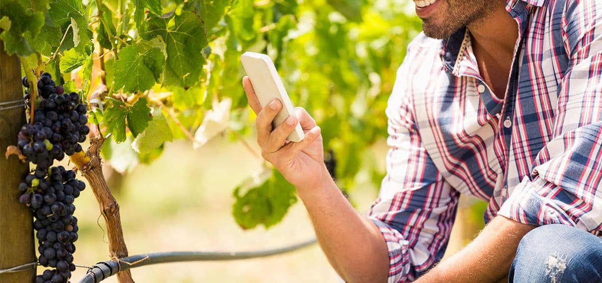 Complete Wine Traceability with AGRIVI Winery Add-On
