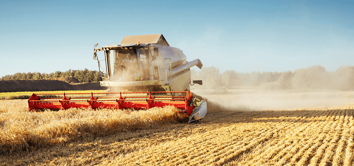 Prevent Crop Loss with Propper Harvest Management