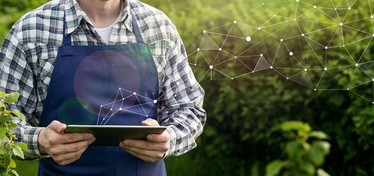 3 Important Decisions for Successful Farm Management Software Implementations