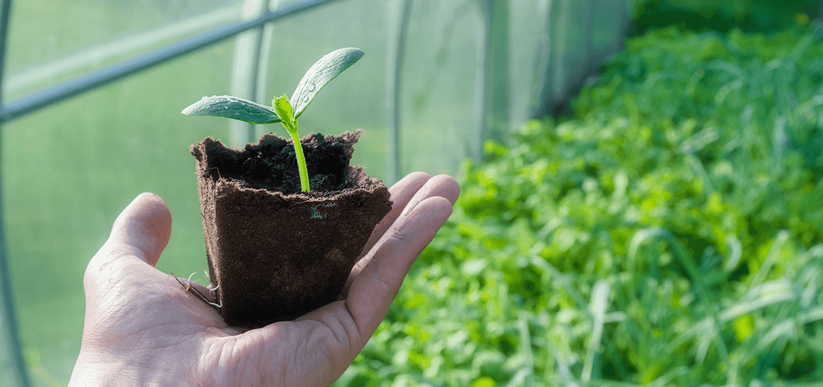 Farming in a Controlled Environment