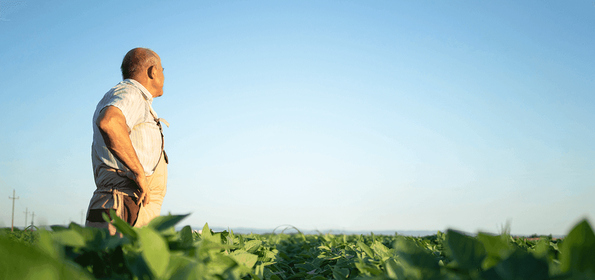 Farmers- Stewards of the Land