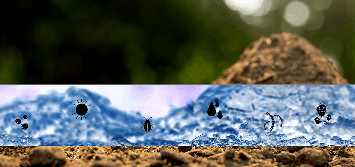 Six Soil Management Practices Guaranteed to Produce Best Yields