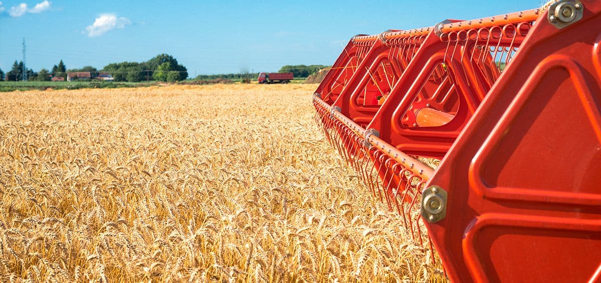Essential Aspects of Fodder Crop Harvest Machinery
