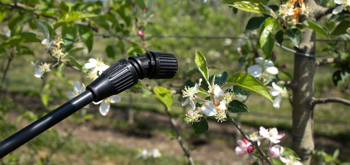 Plant Nutrition Management with Foliar Fertilization