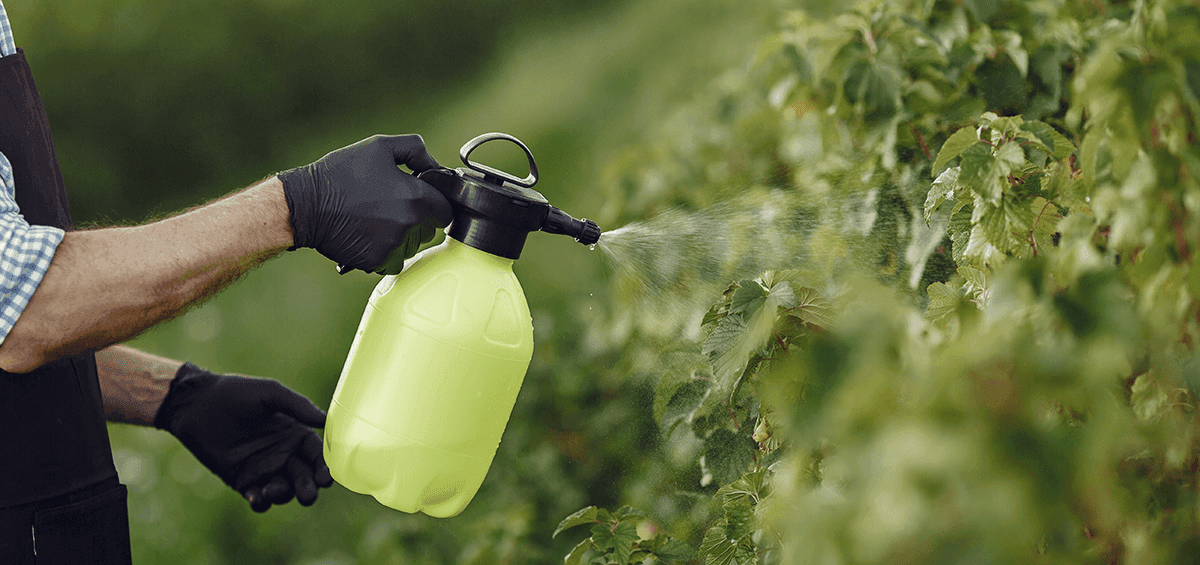 Foliar Fertilization for Higher Yields