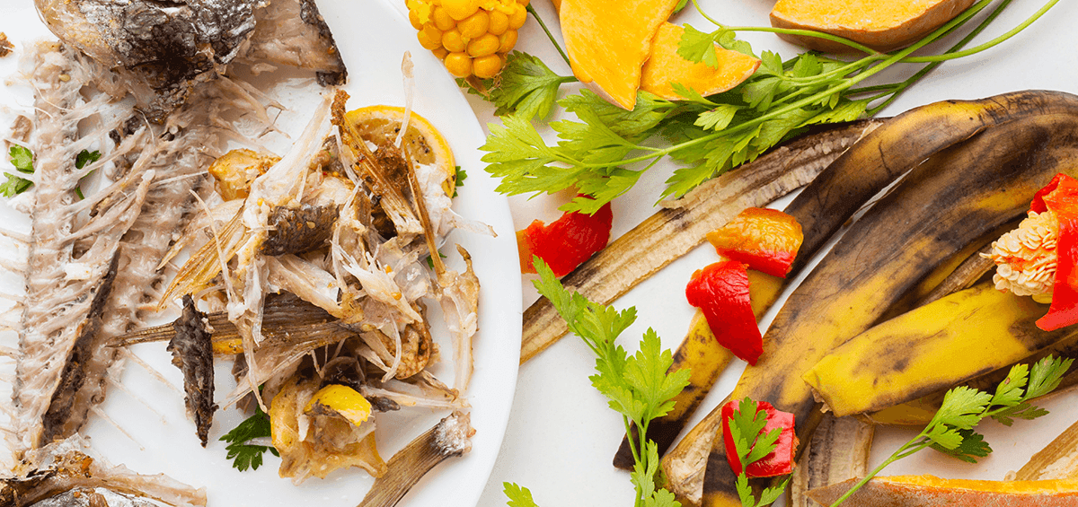How Much Food Is Wasted Annually?