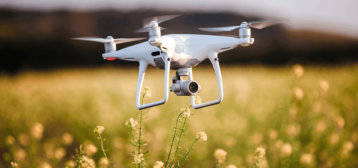 Will the Future Farms Be like Factories?
