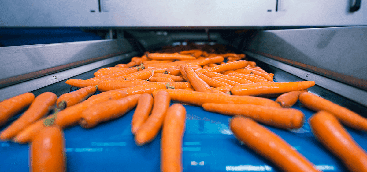 Global Food Production Must Increase 70% by 2050