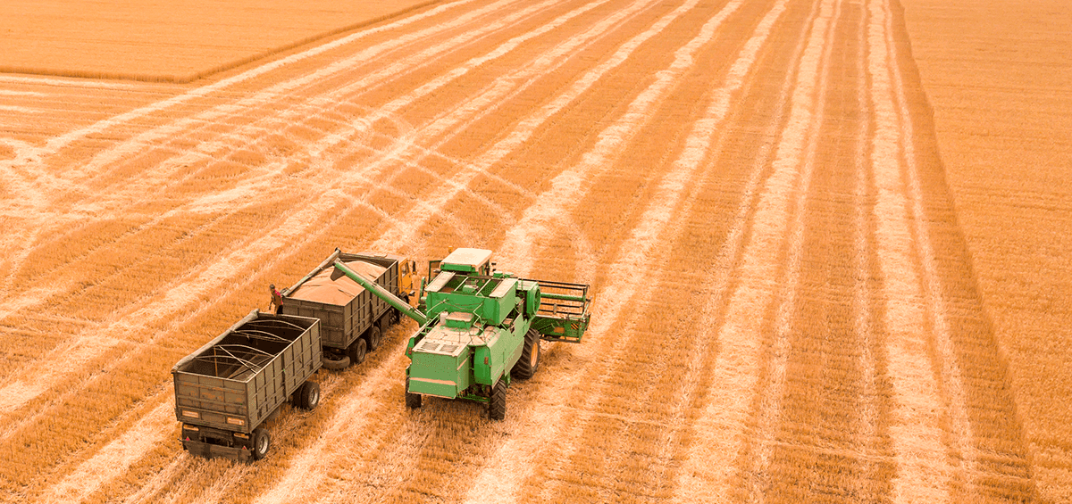 Harvest Properly and Minimize Losses