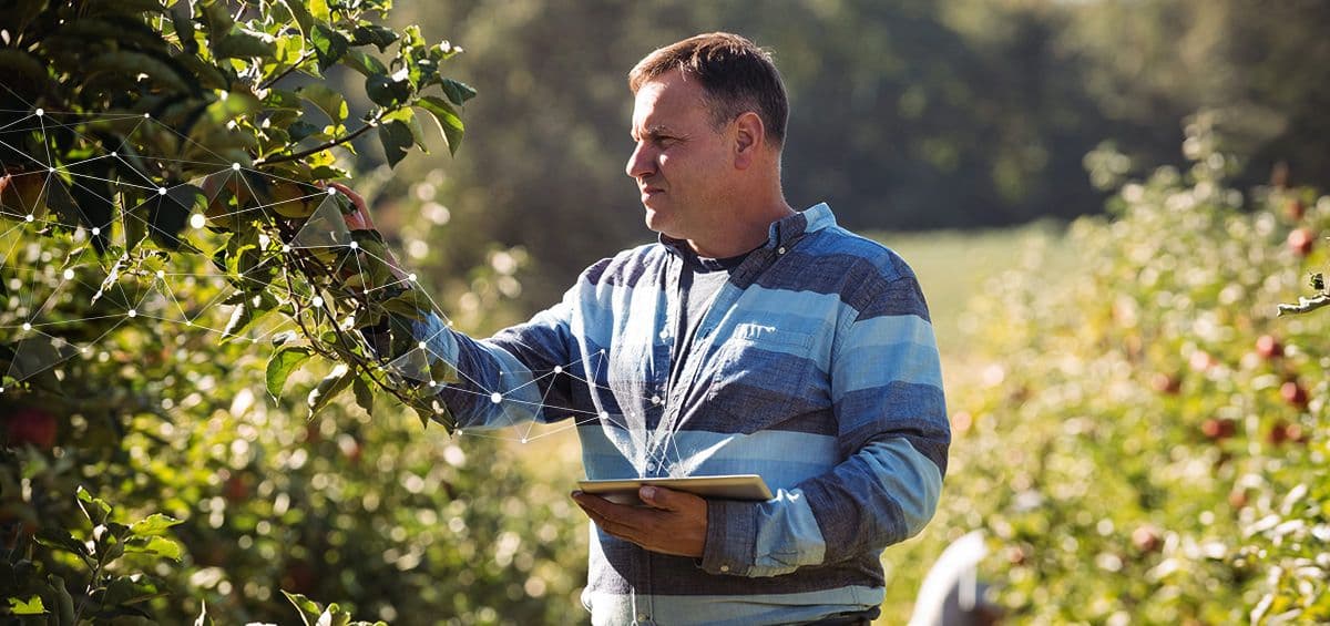 How to Choose the Right Farm Management Software?