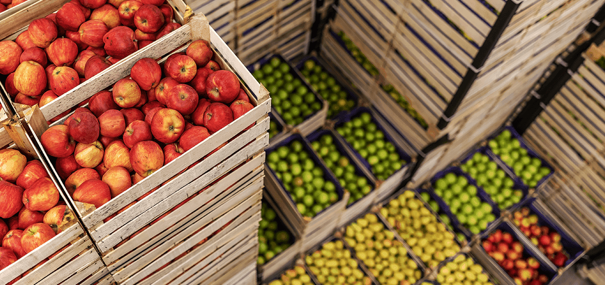 How to Store Fruits and Vegetables?