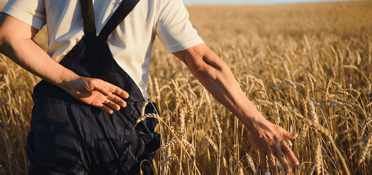 How to Be a Farmer