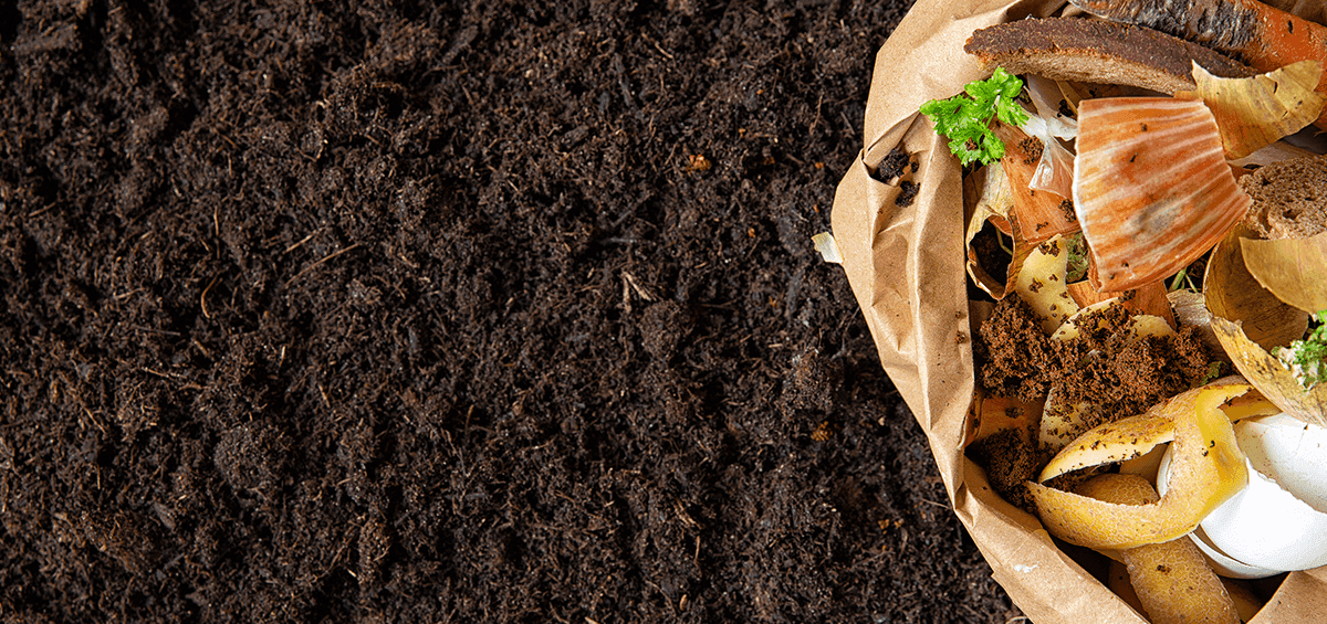 Intensive Farming vs. Humus in Soil