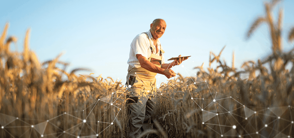 Improve Farming Success With Integrated Farming
