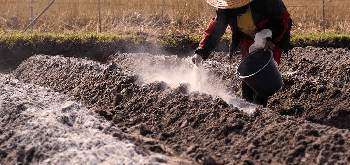 Importance of Liming for High Soil Fertility