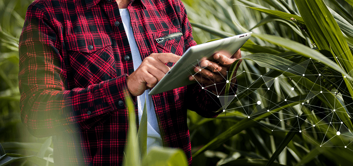Measuring Farm Productivity with AGRIVI Farm Management Software