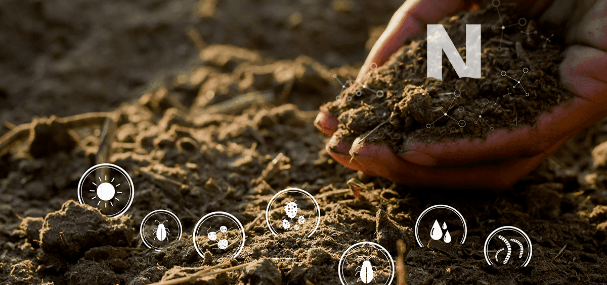 Nitrogen Management in Farming