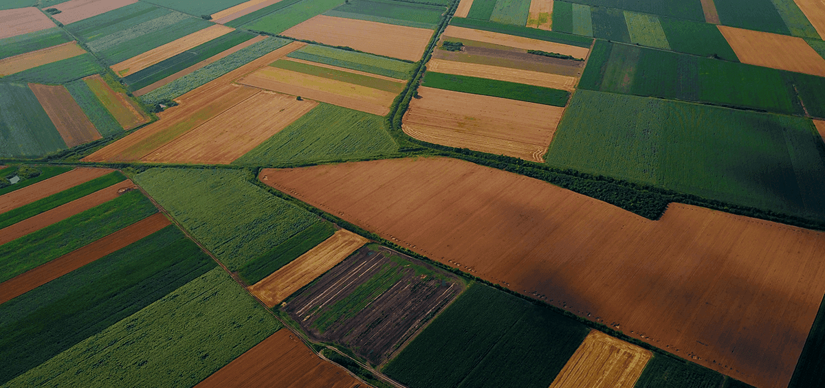 What Is Permaculture: The Definitive Guide