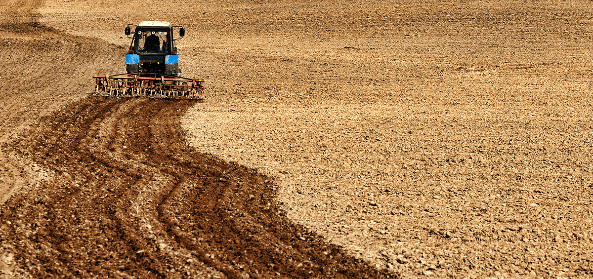 The Best Practices for Using Plant Residues