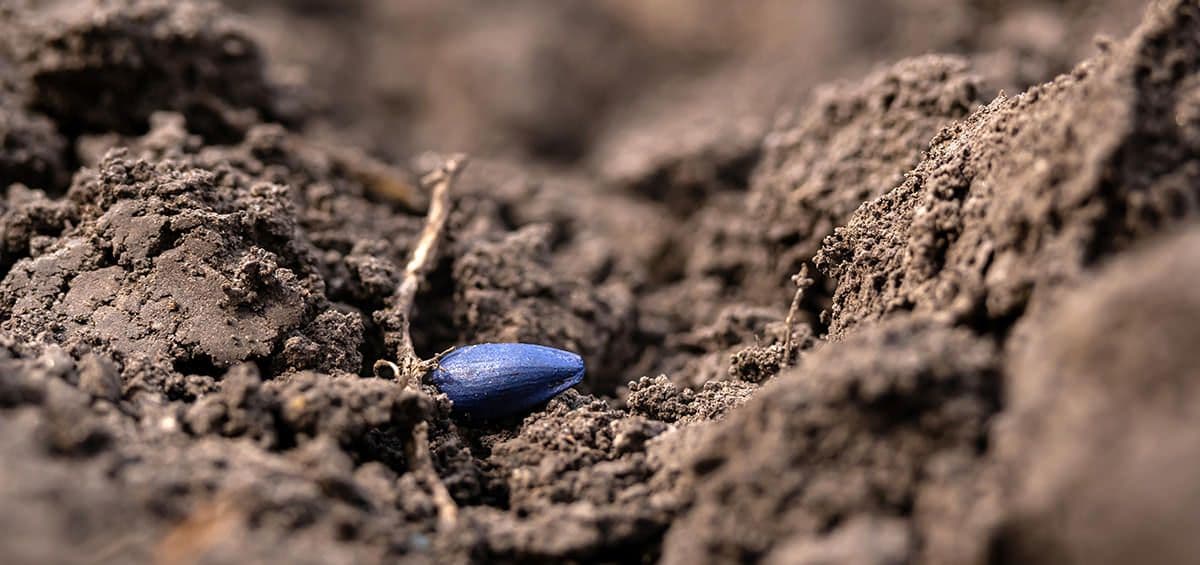 Factors for Proper Planting Management