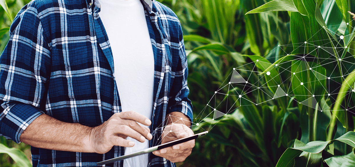 Follow Good Farming Practices with AGRIVI Farm Management System