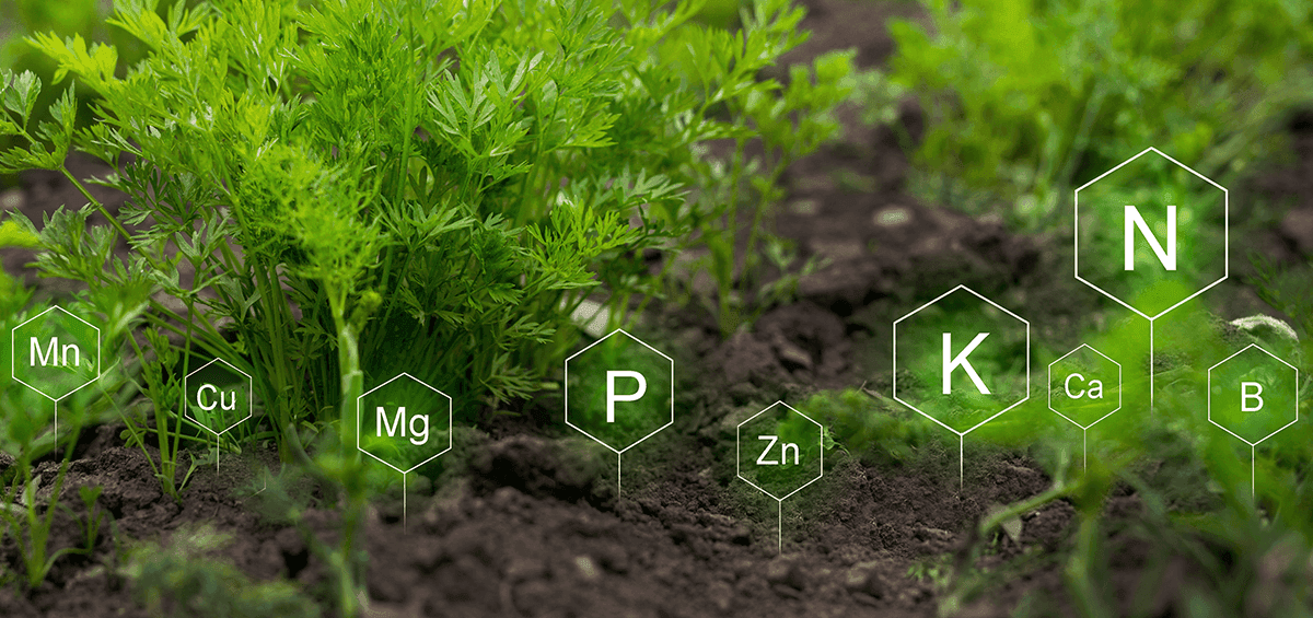 Preparing Non-Agricultural Land for Cultivation