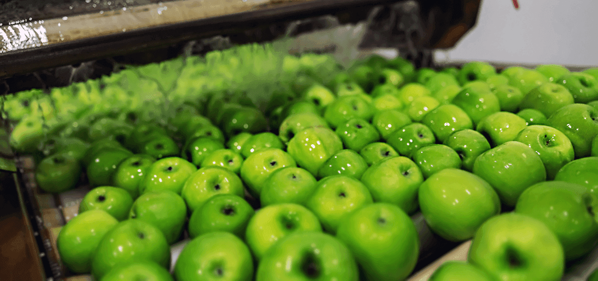 Processing of Fruits and Vegetables