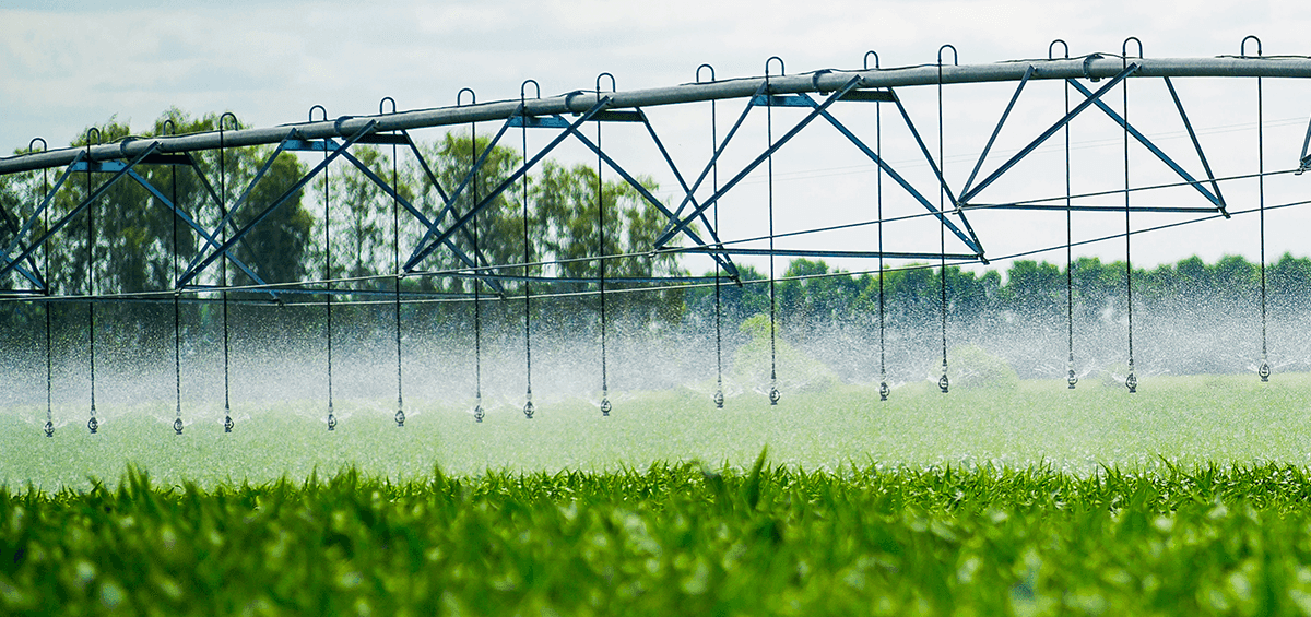 Irrigation Systems: What are They and Why You Need One