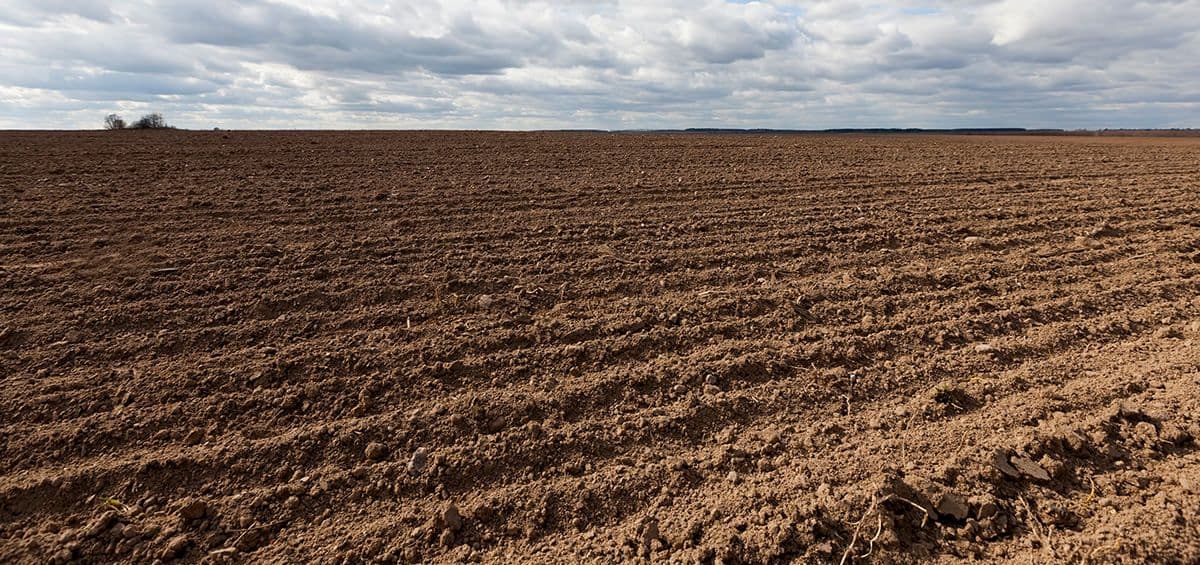 Shallow Plowing as a Questionable Farm Practice
