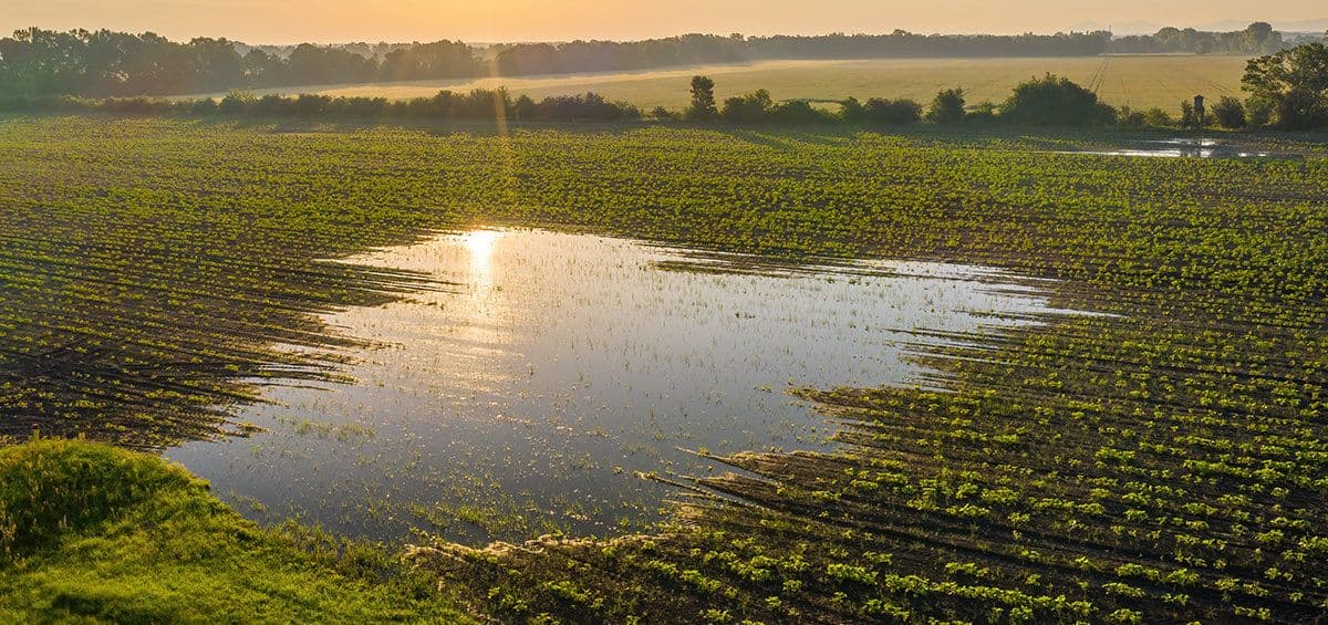 Undermining: A Simple and Low-Cost Soil Drainage