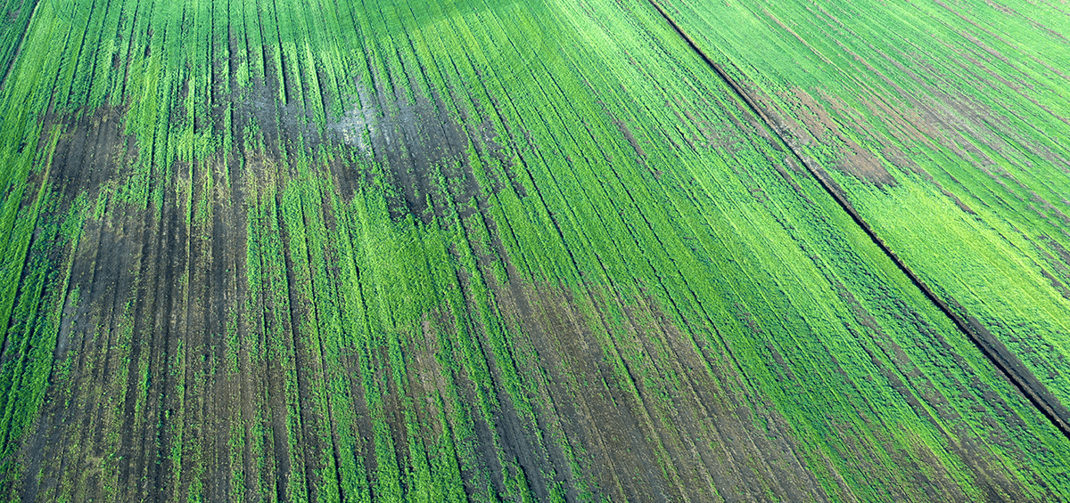 Soil Erosion