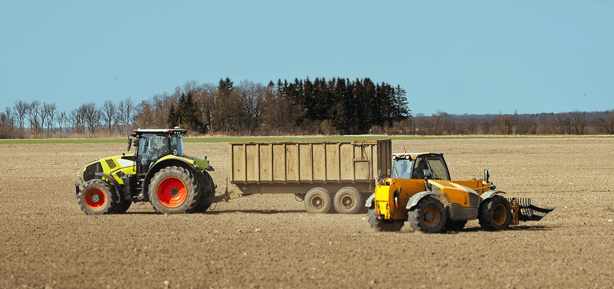 Sowing of Winter Crops
