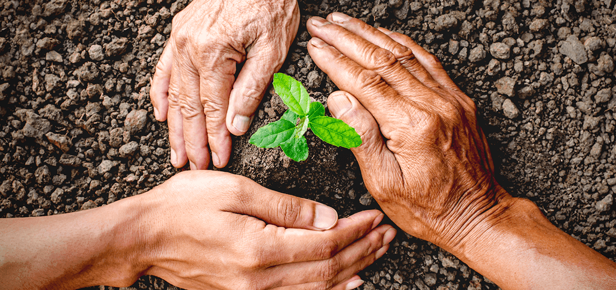 The Development of Agriculture