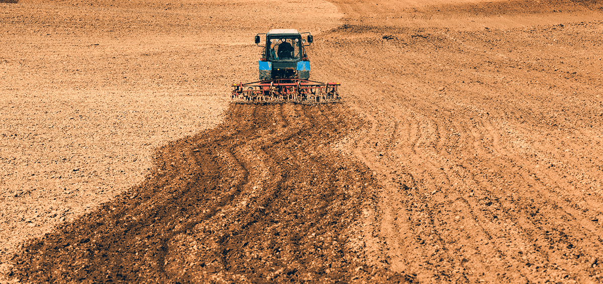 Summer Soil Tillage after Harvest