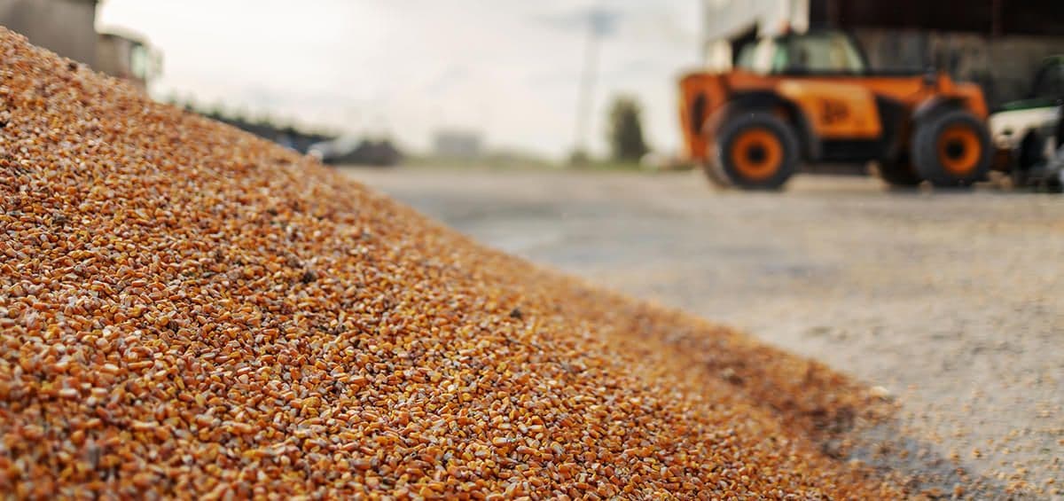 A Key Issue in Supply Chain Management