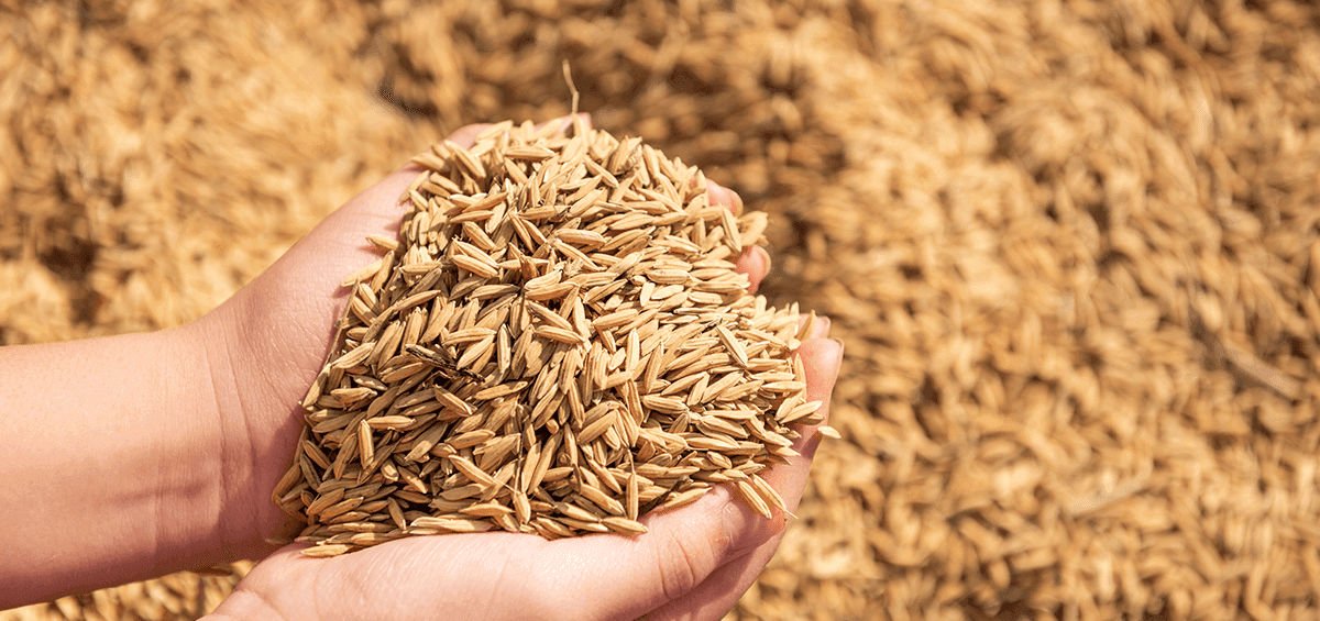 Sustainable Agriculture: Using Farm Management Software to Reduce a Negative Environmental Impact