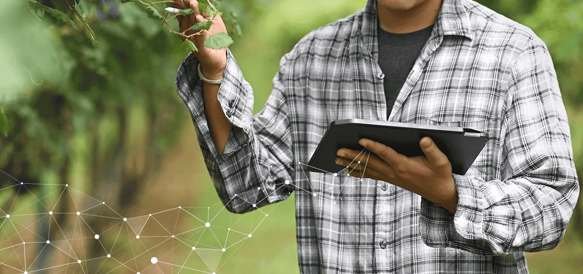 10 Facts Why Technology in Farm Management