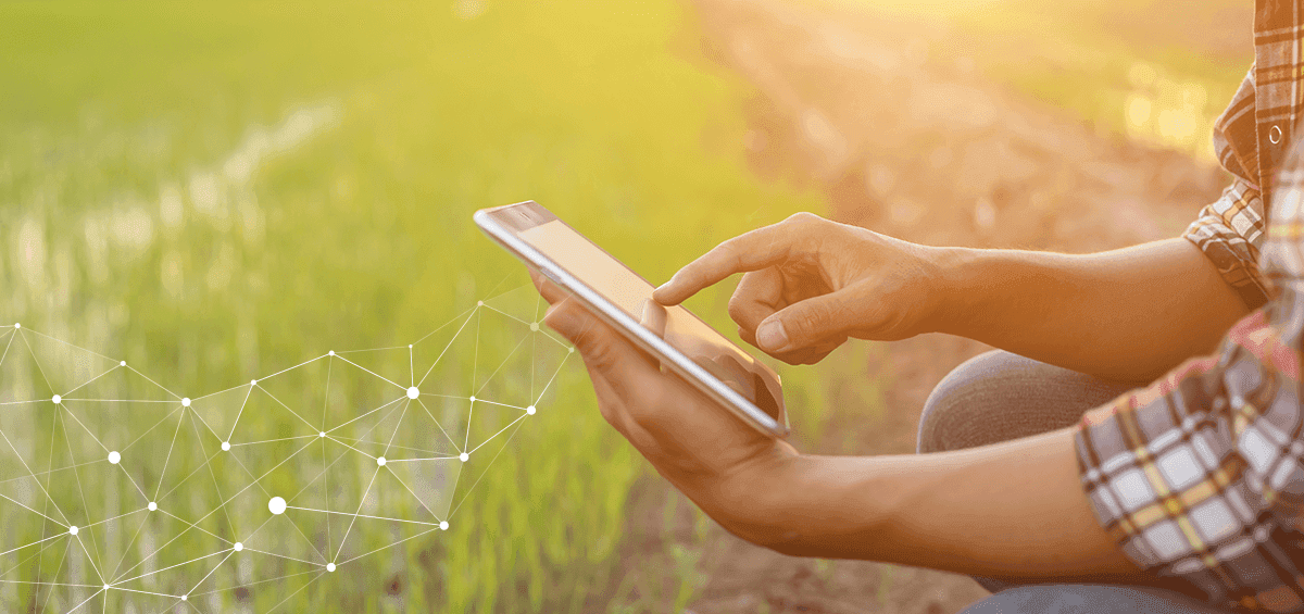 Top 5 Farming Apps Every Farmer Should Know About
