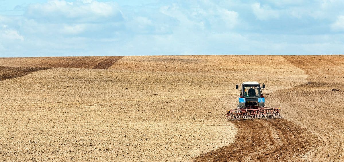 Very Shallow Plowing: The first Step in Soil Preparation