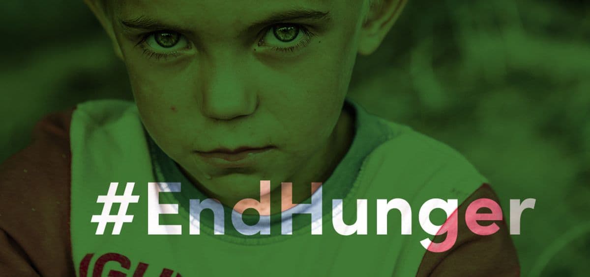 Are You Ready to Risk Global Pollution to Achieve Zero Hunger?
