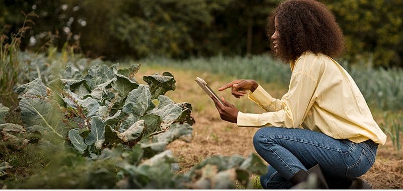 African Greeneurs Horticulture (AG Horticulture)